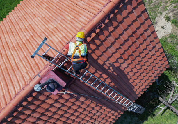 Best Roof Moss and Algae Removal  in Celina, TX