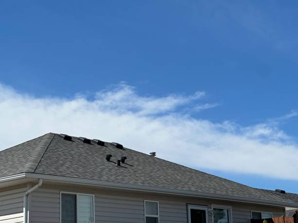 Best Emergency Roof Repair Services  in Celina, TX